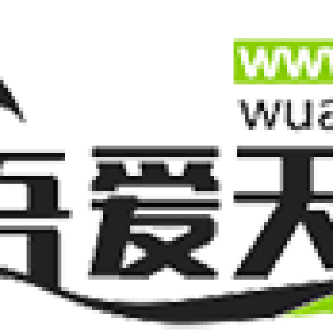 吾爱天地论坛 - 影视资源|软件技术|生活分享社区 - 解锁多元兴趣世界